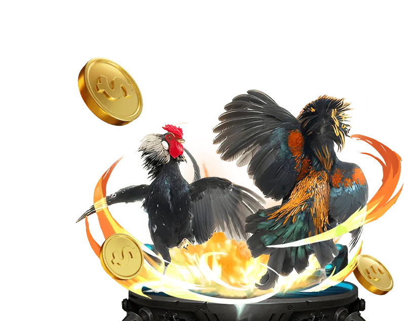 Chương trình VIP m Win55