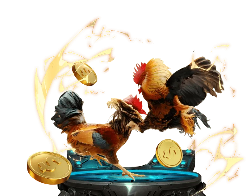 Dịch vụ khách hàng chuyên nghiệp